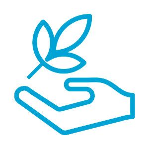 Servicio de post-venta